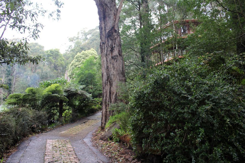 Risehill House Villa Kalorama Phòng bức ảnh